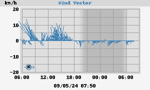 Wind Vector