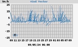 Wind Vector