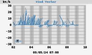 Wind Vector