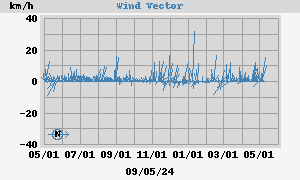 Wind Vector
